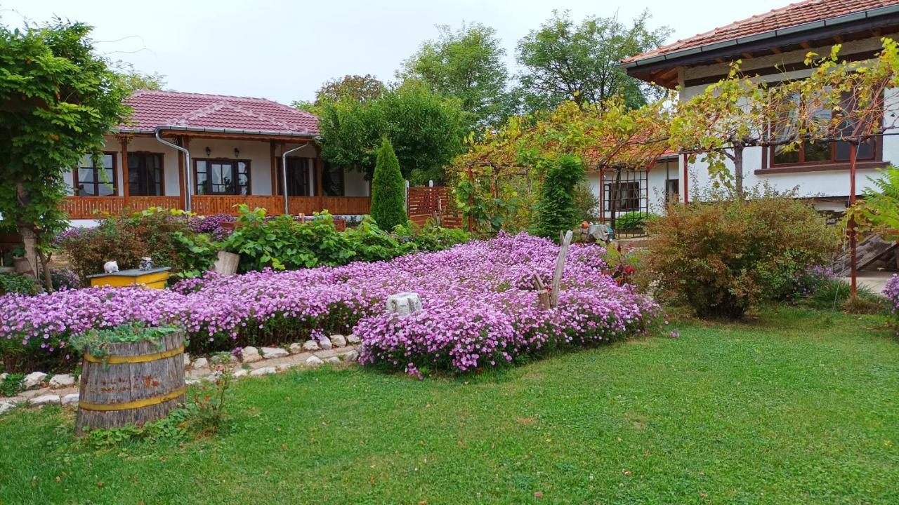 Babinata Kashta-Srebarna Hotel Sreburna Exterior photo