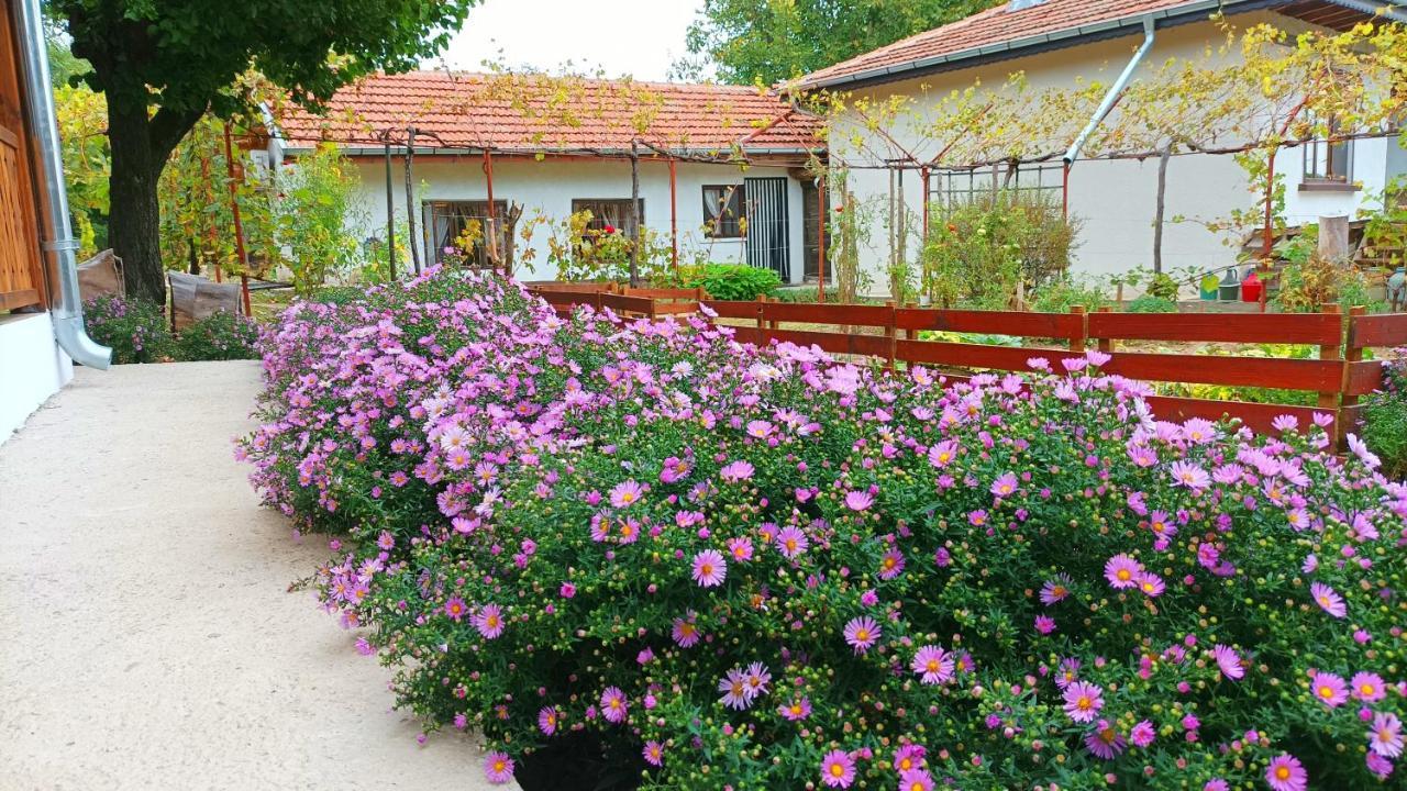Babinata Kashta-Srebarna Hotel Sreburna Exterior photo