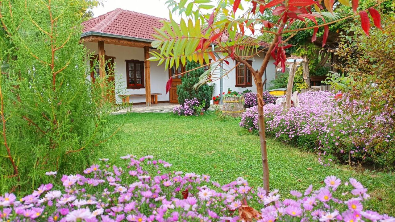 Babinata Kashta-Srebarna Hotel Sreburna Exterior photo